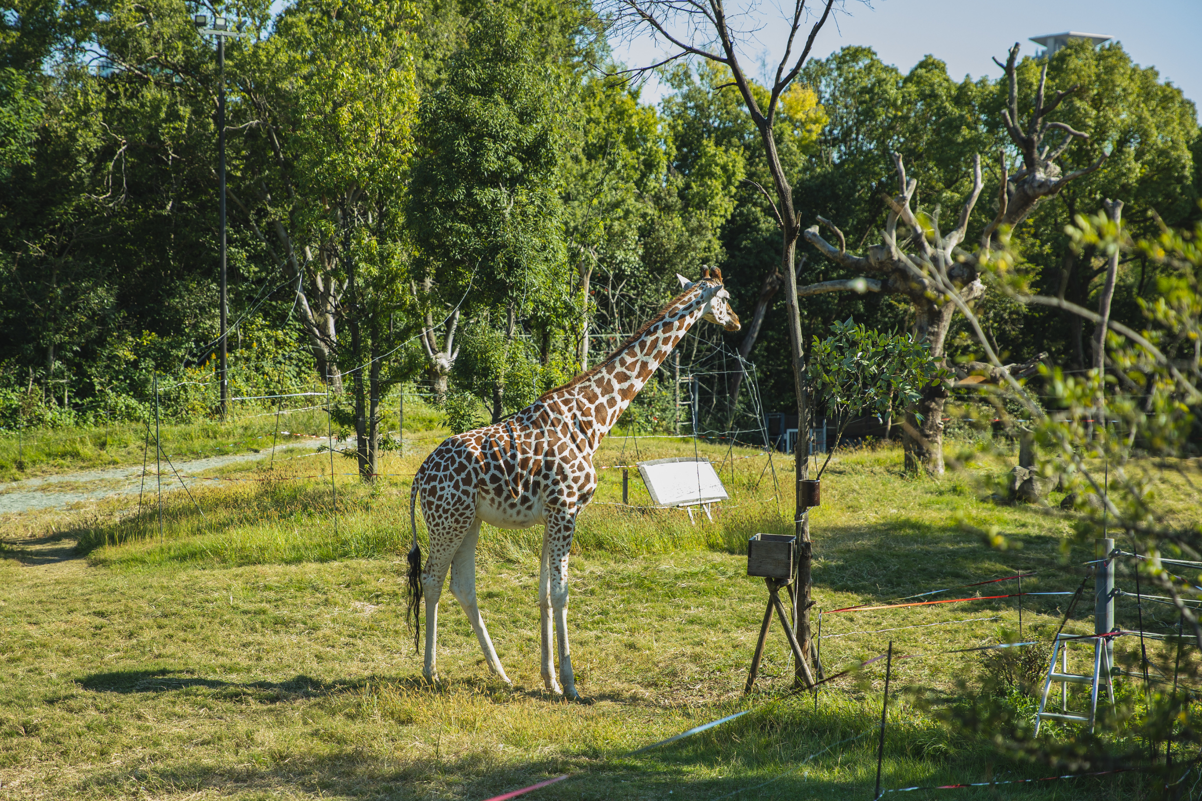 mlilwane wildlife sanctuary (3).webp